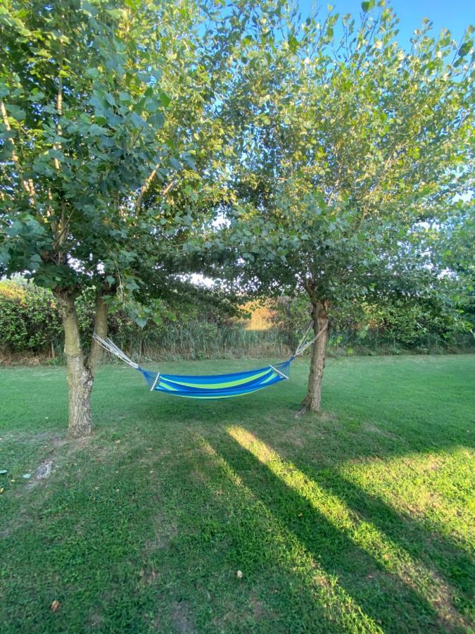 Bed and Breakfast Tra Campagna E Mare Lido delle Nazioni Exteriér fotografie